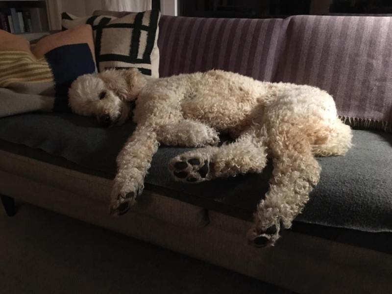 luci appreciating miles