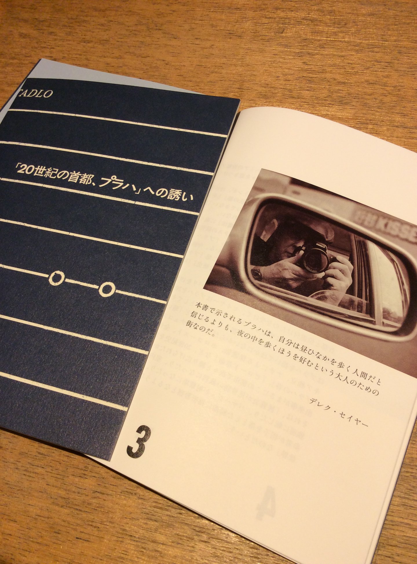 japanese brochure